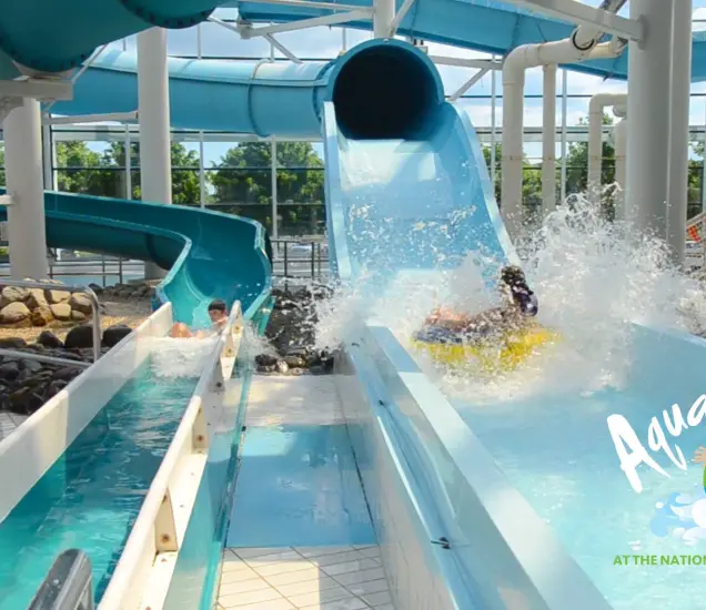 AquaZone Featured Photo