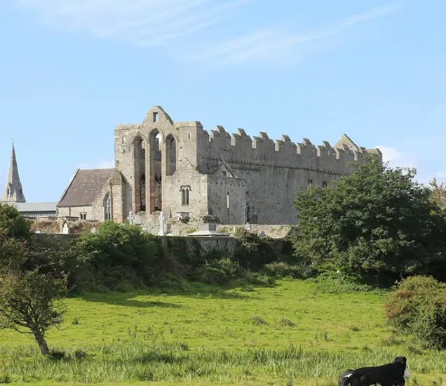 Ardfert Cathedral Featured Photo