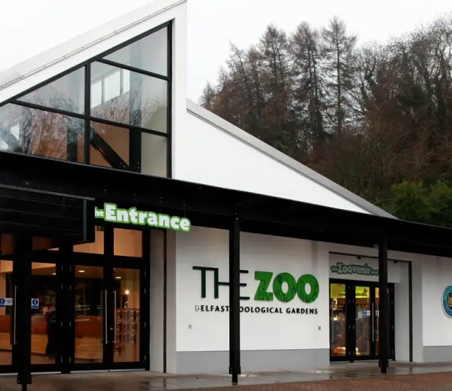 Belfast Zoo Featured Photo