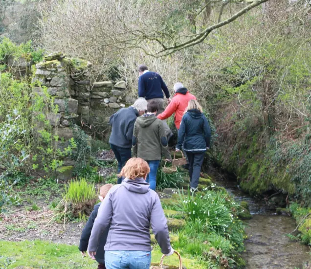 Blackstairs Eco Trails Featured Photo