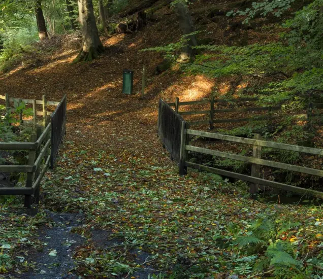 Crawfordsburn Country Park Featured Photo