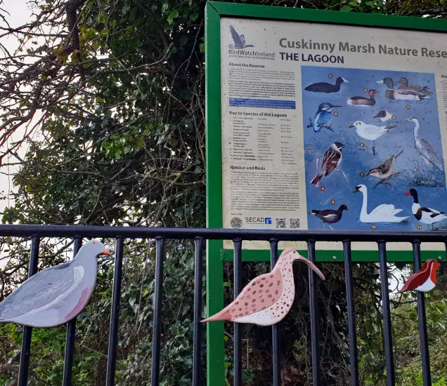 Cuskinny Nature Reserve Featured Photo