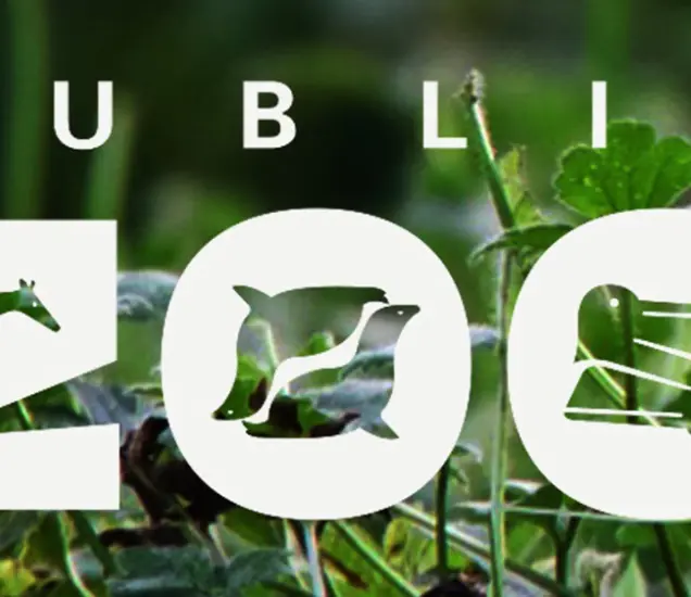 Dublin Zoo Featured Photo