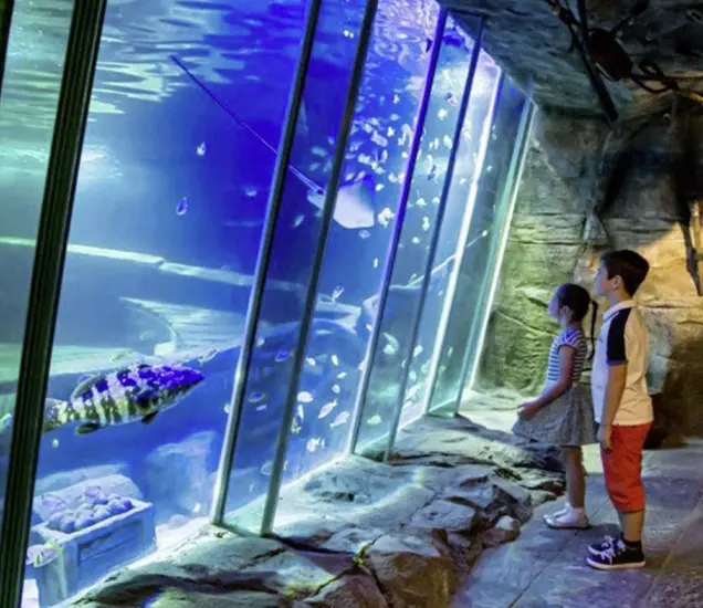 Exploris Aquarium Featured Photo