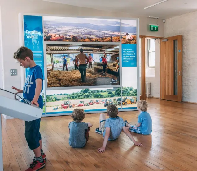 Fethard Horse Country Experience Featured Photo