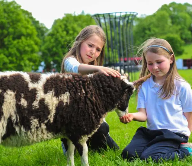 Glendeer Pet Farm Featured Photo