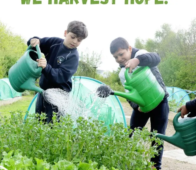 Global Action Plan Featured Photo