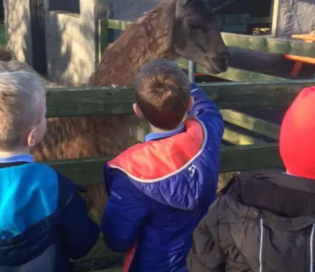 Graune Pet Farm & Play Centre Featured Photo