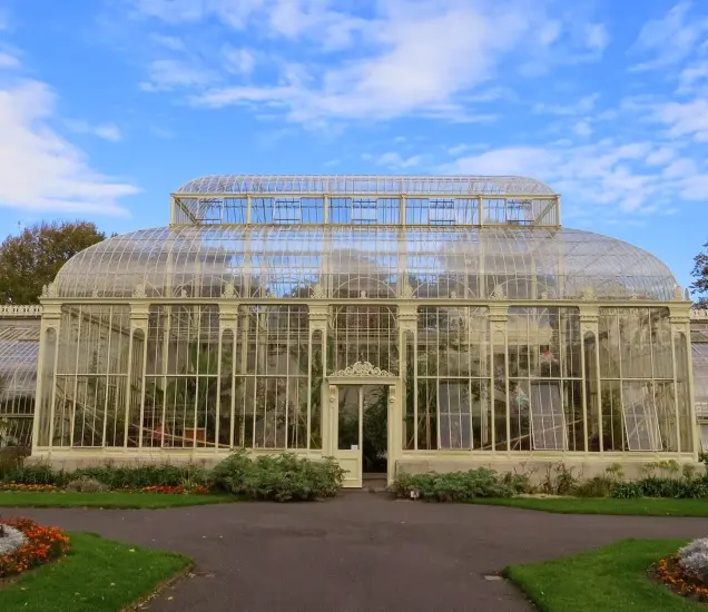 Kilmacurragh Arboretum Featured Photo