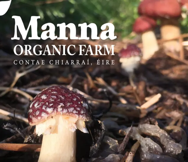 Manna Organic Farm & Store Featured Photo