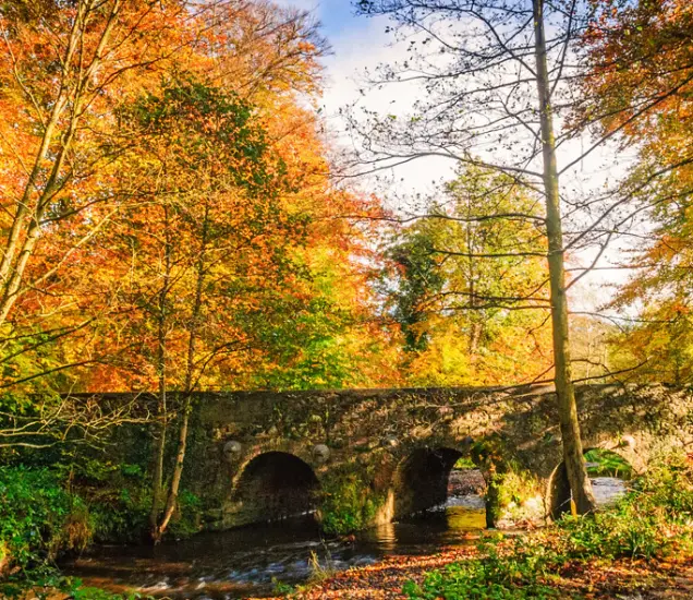 Minnowburn Featured Photo