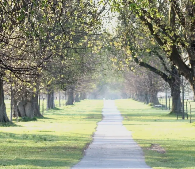 Phoenix Park Featured Photo