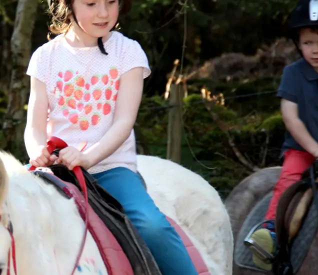 Slieve Aughty Centre Featured Photo