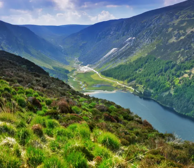 Wicklow Mountains National Park Featured Photo
